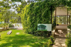 Capillas Señoriales Mérida