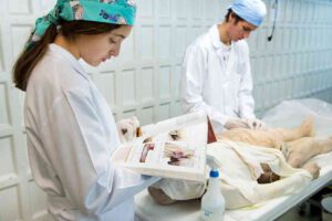 traslado de cadaveres